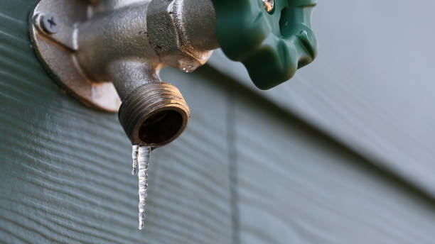 Best Plumbing Installation Services  in Alturas, FL
