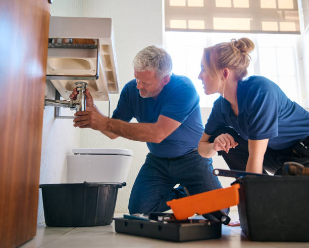 Best Residential Plumbing Services  in Alturas, FL